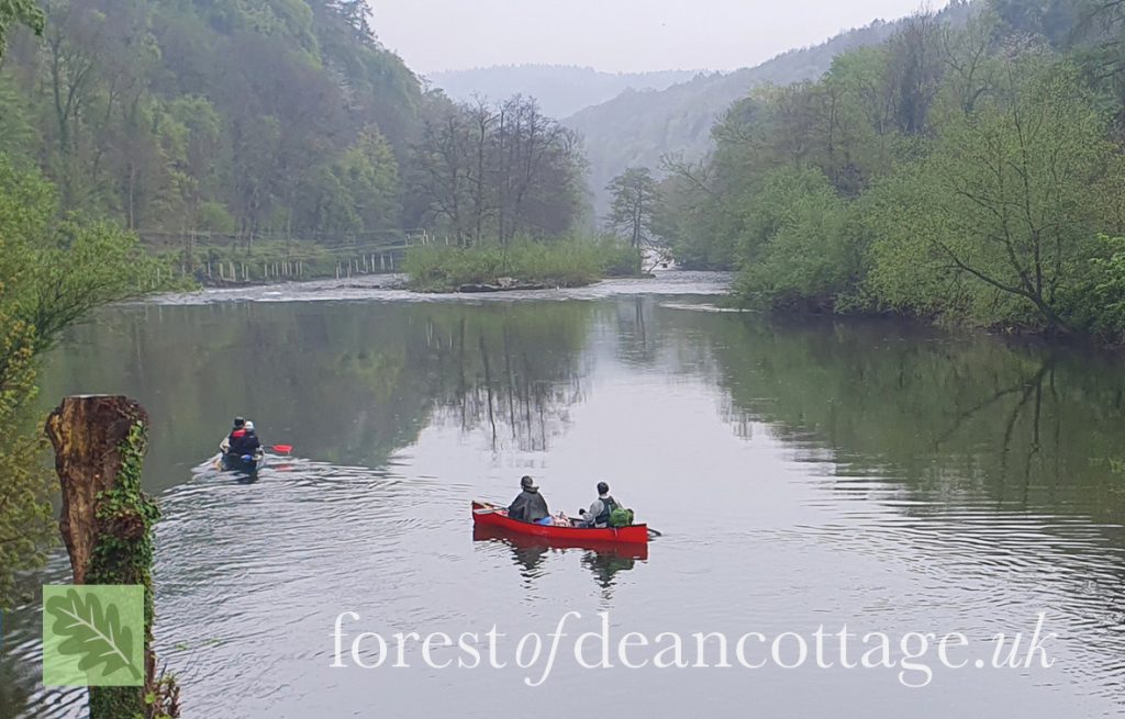 Boating in the Forest of Dean