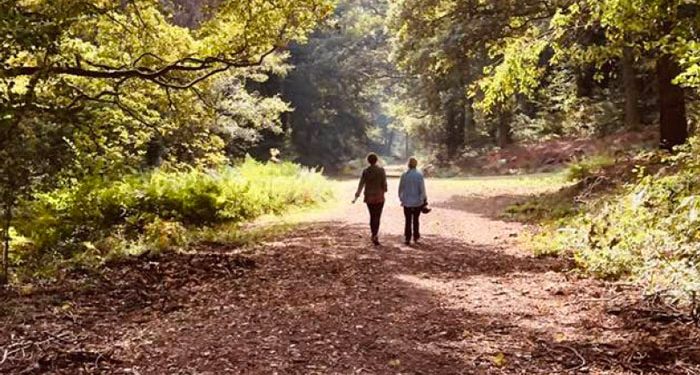 Summer walk in the Forest of Dean